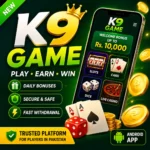 K9 Game