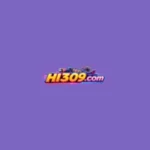HI 309 Game