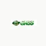 GN55 Game