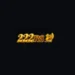 222RS Game