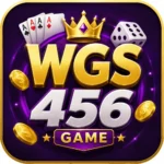 WGS456 Game