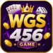 WGS456 Game